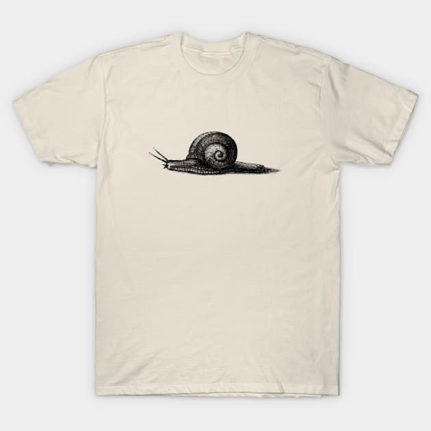 Snail Etching T-Shirt by metaphysical